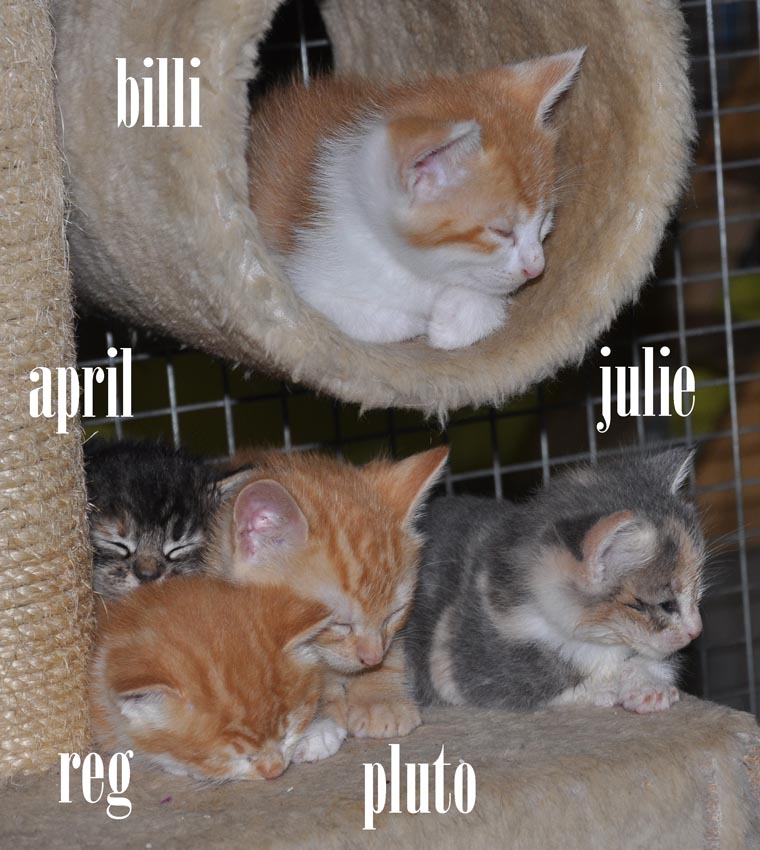 [Snooze+time.jpg]