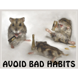 [NT03-avoid-bad-habits.gif]