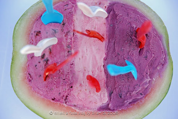 Blueberry {Saskatoon/Raspberry} Sour Cream Ice Cream 