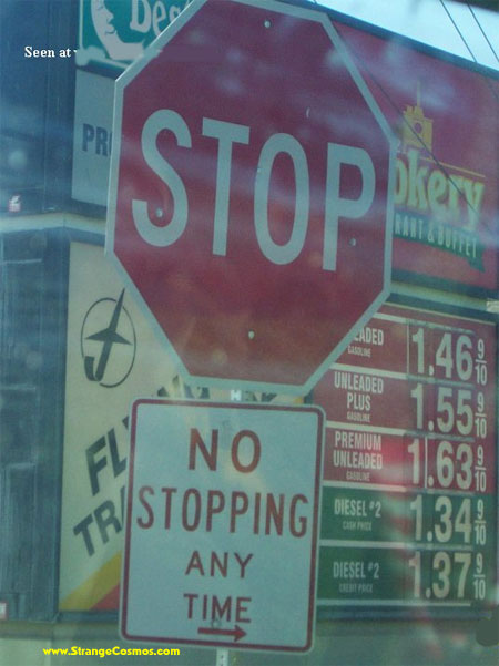 [image009.jpg]