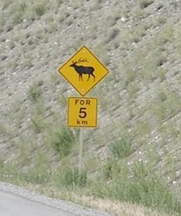 Moose Road Sign