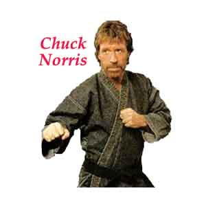 chuck_norris_random_fact_generator_6_3957_2224_image_2578.jpg