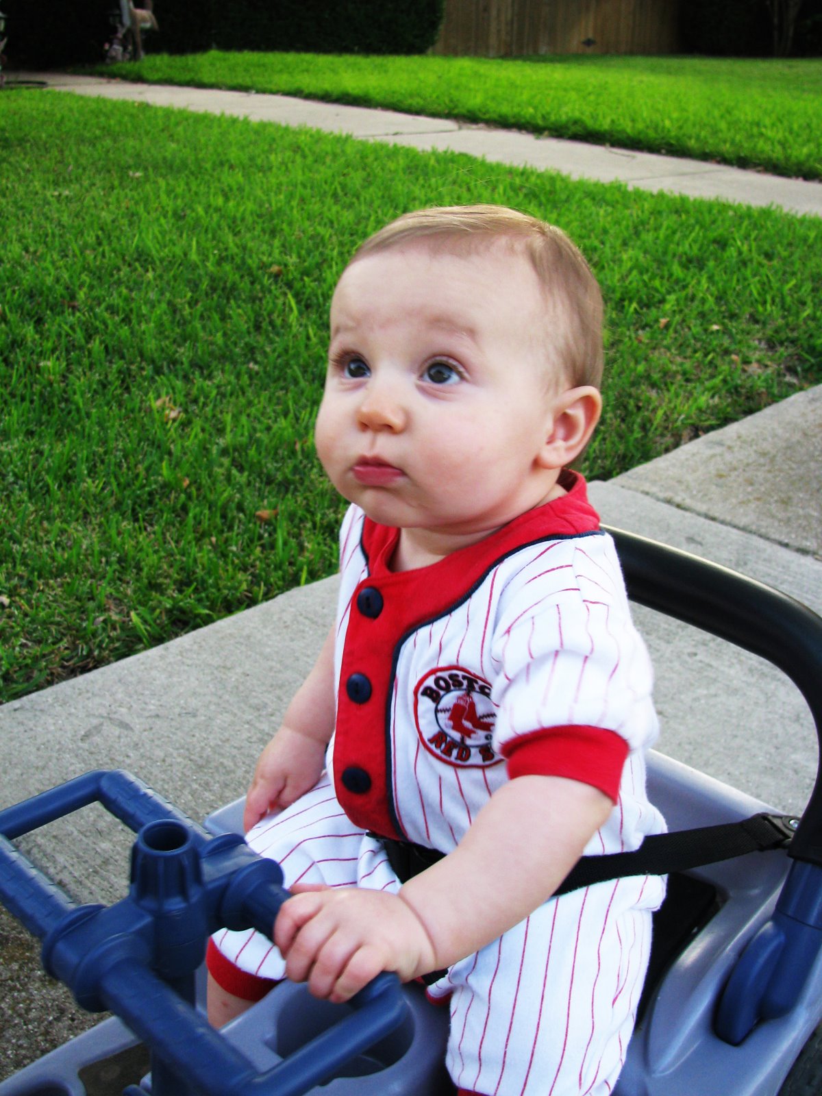 [October+2008+084a.jpg]