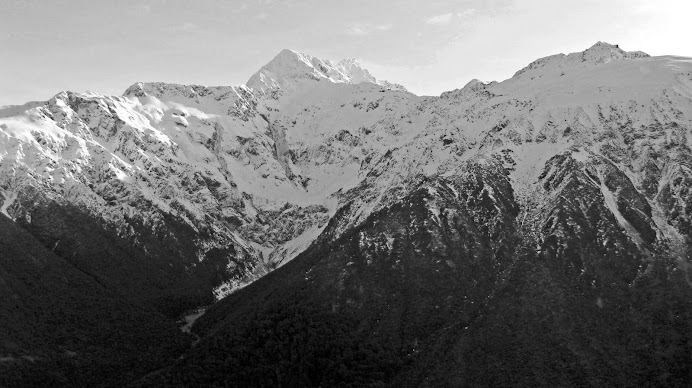 Les alples néozélandaises