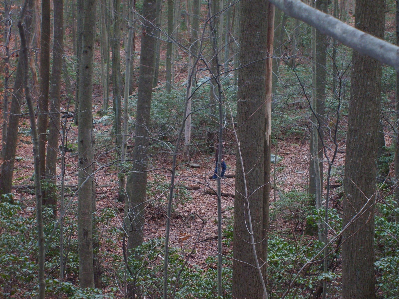 [S5001237.JPG]