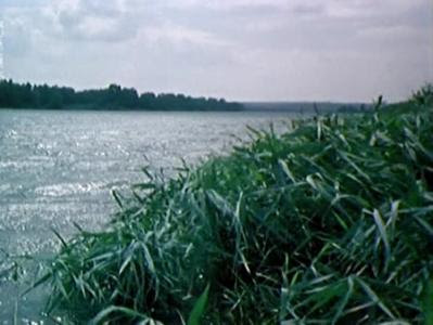 Don nehri akar akar akar