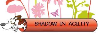 Shadow in Agility