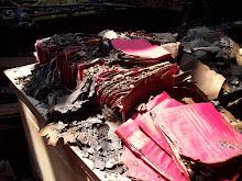 Fire Damaged Records