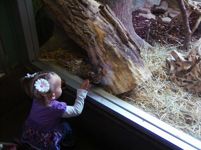 Eva at the hoogle Utah zoo