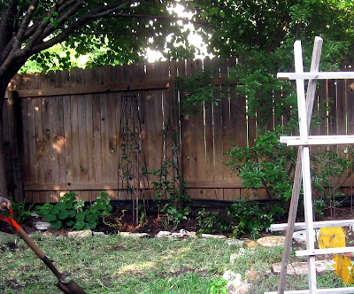 DivasoftheDirt, vines on tuteurs
