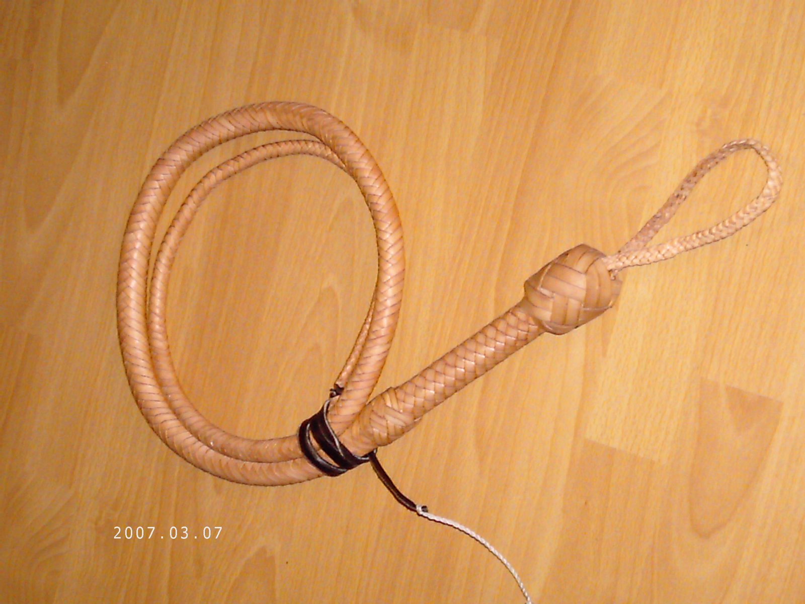 [DCFC0181.JPG]
