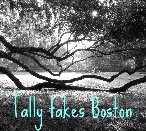 Tally Takes Boston