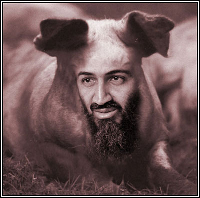 [ubl-pig-face.jpg]