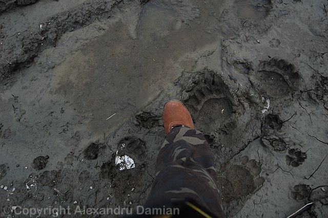[DSC_0070.JPG]