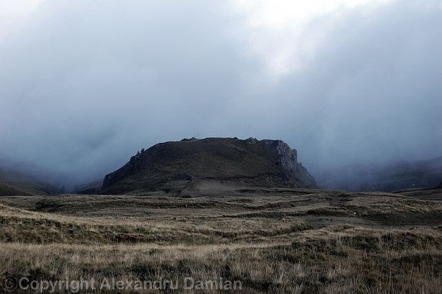[DSC_0063.JPG]