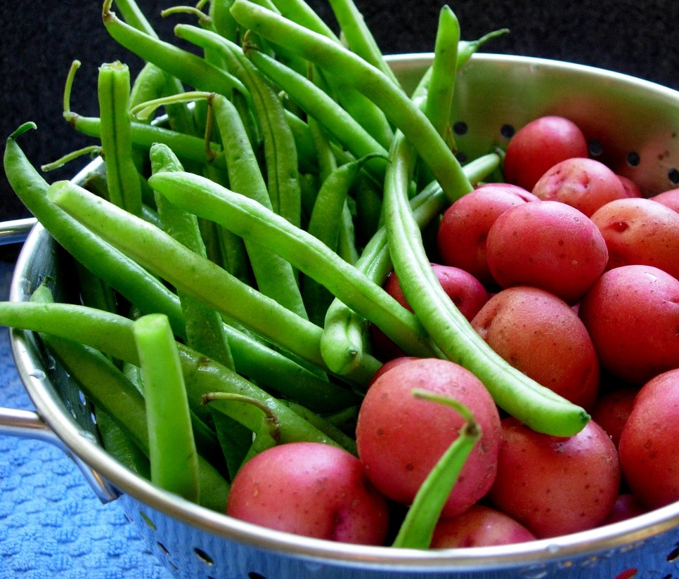 Fresh Green Beans & New Potatoes
