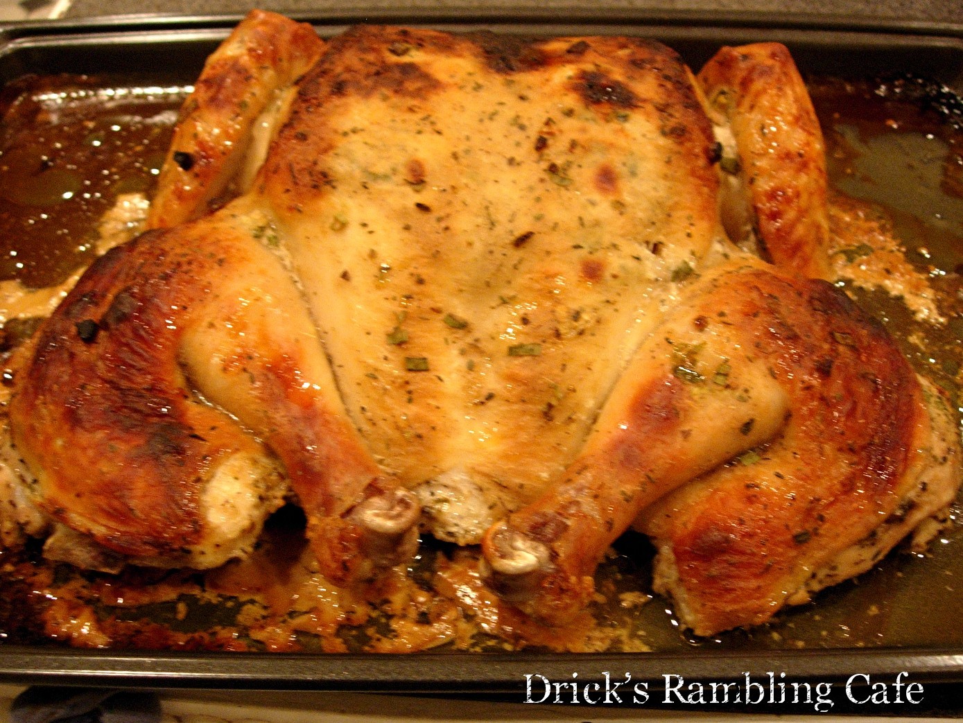 Buttermilk Yogurt Flattened Chicken Drick's Rambling Cafe