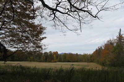 mt. greylock melville whale
