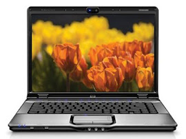 HP Pavilion DV6000