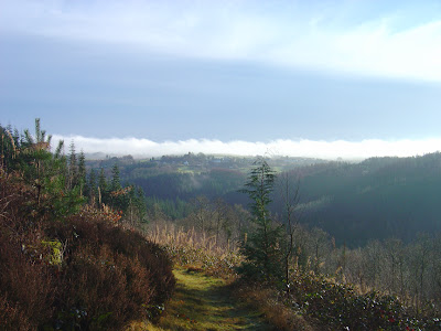 Wider View