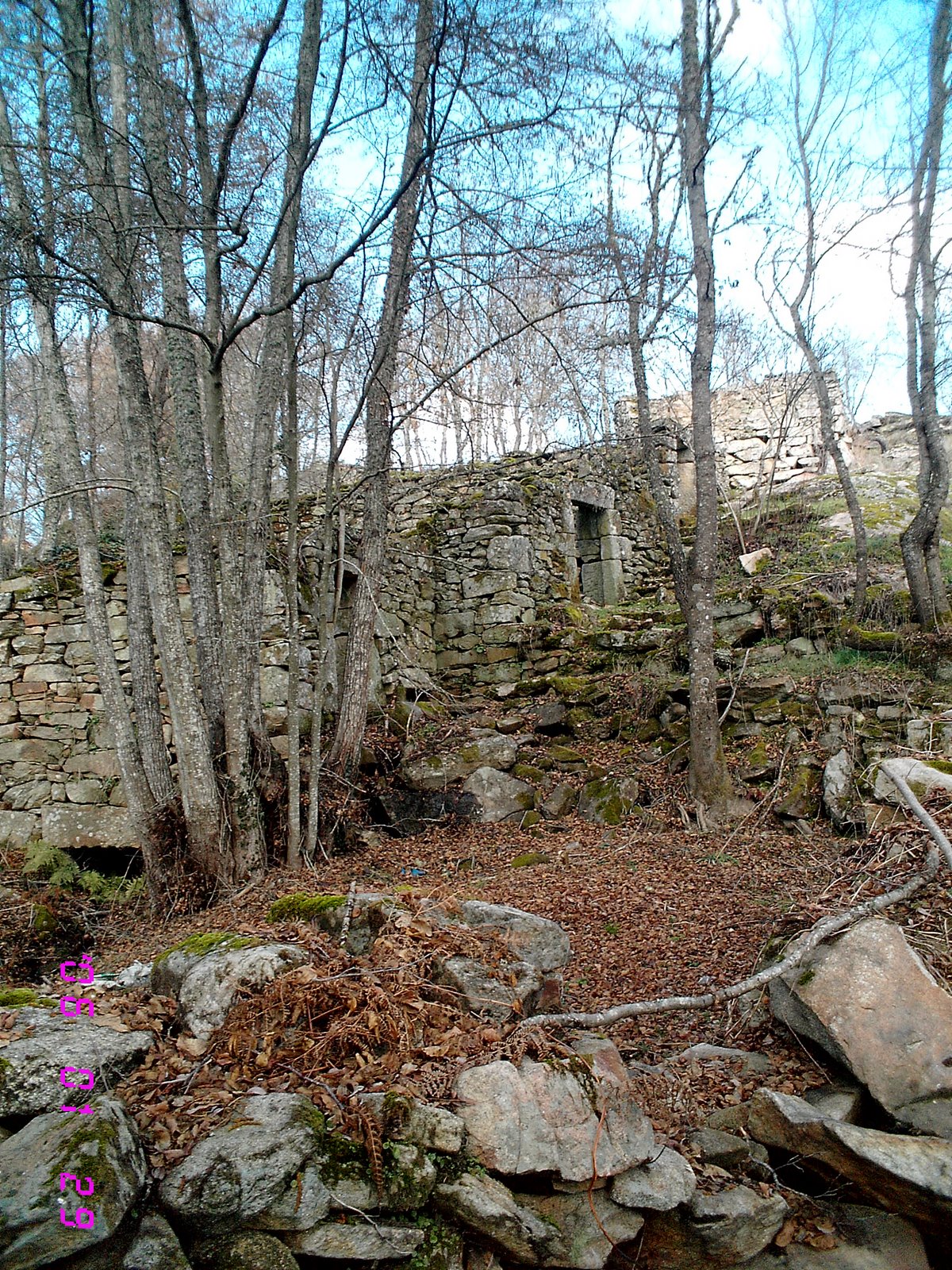 [IMG_0397.JPG]