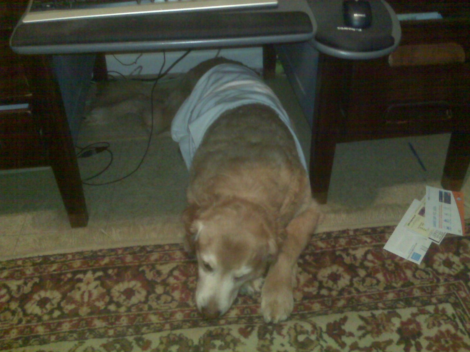 [=?Windows-1252?B?SU1HMDAyODcuanBn?=-782883]