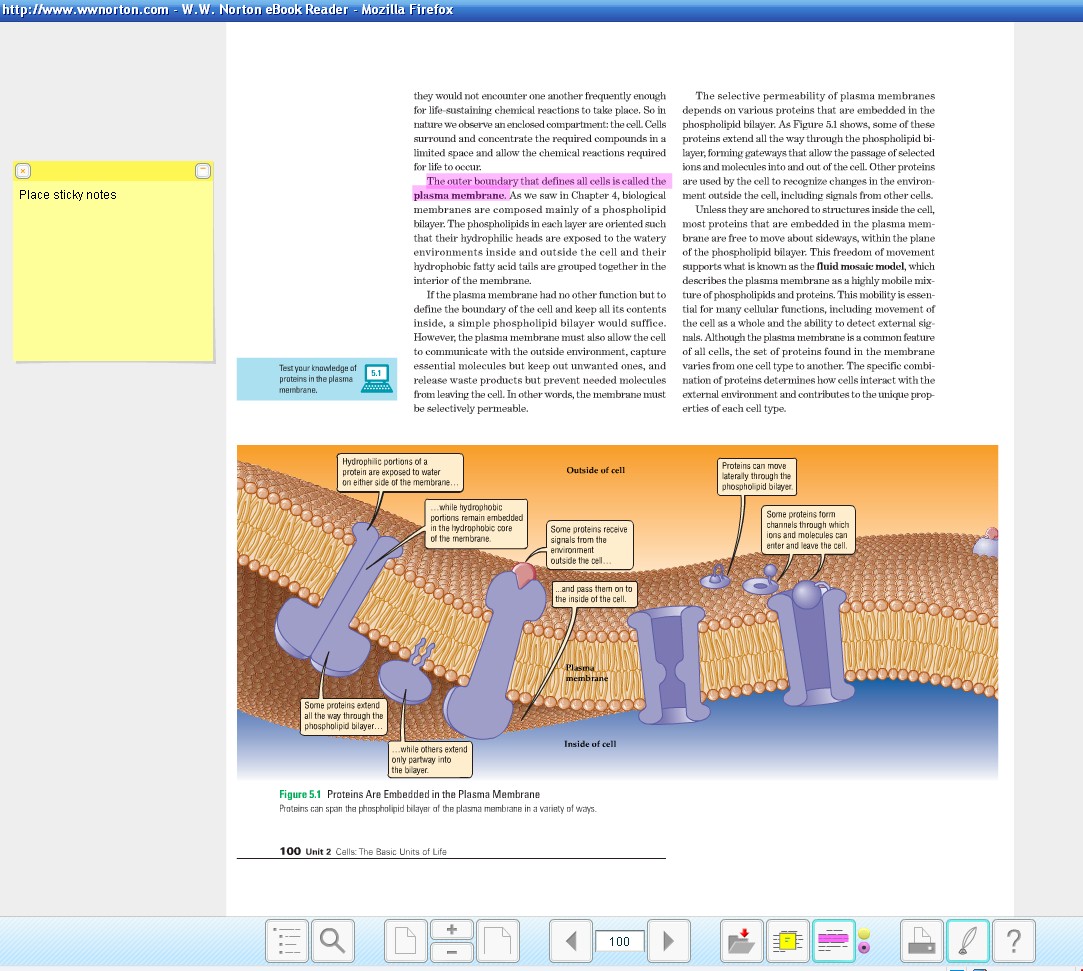 [NortonTextbook.jpg]