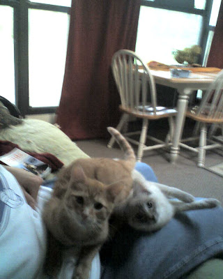 Emily's babies