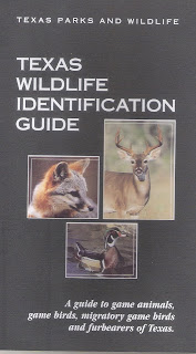 Texas Wildlife ID Guide
