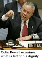 powell at the un