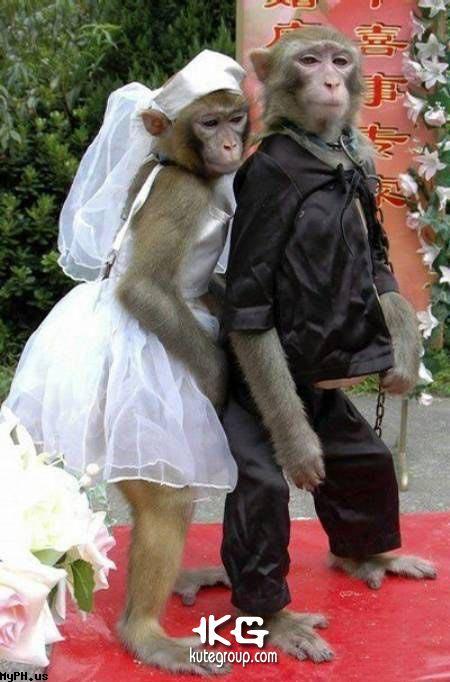 BEST WEDDING COUPLE 2010 Posted by Feros at 1012 AM BEST WEDDING COUPLE 2010 Posted by Feros at 1012 AM