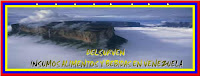 DELSURVEN