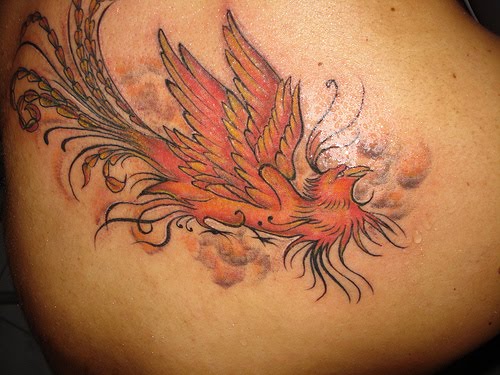 Dragon Tattoo tatuajes de fenix. Tatuaje de Alas de un ave fenix Dragon Tattoo tatuajes de fenix. Tatuaje de Alas de un ave fenix