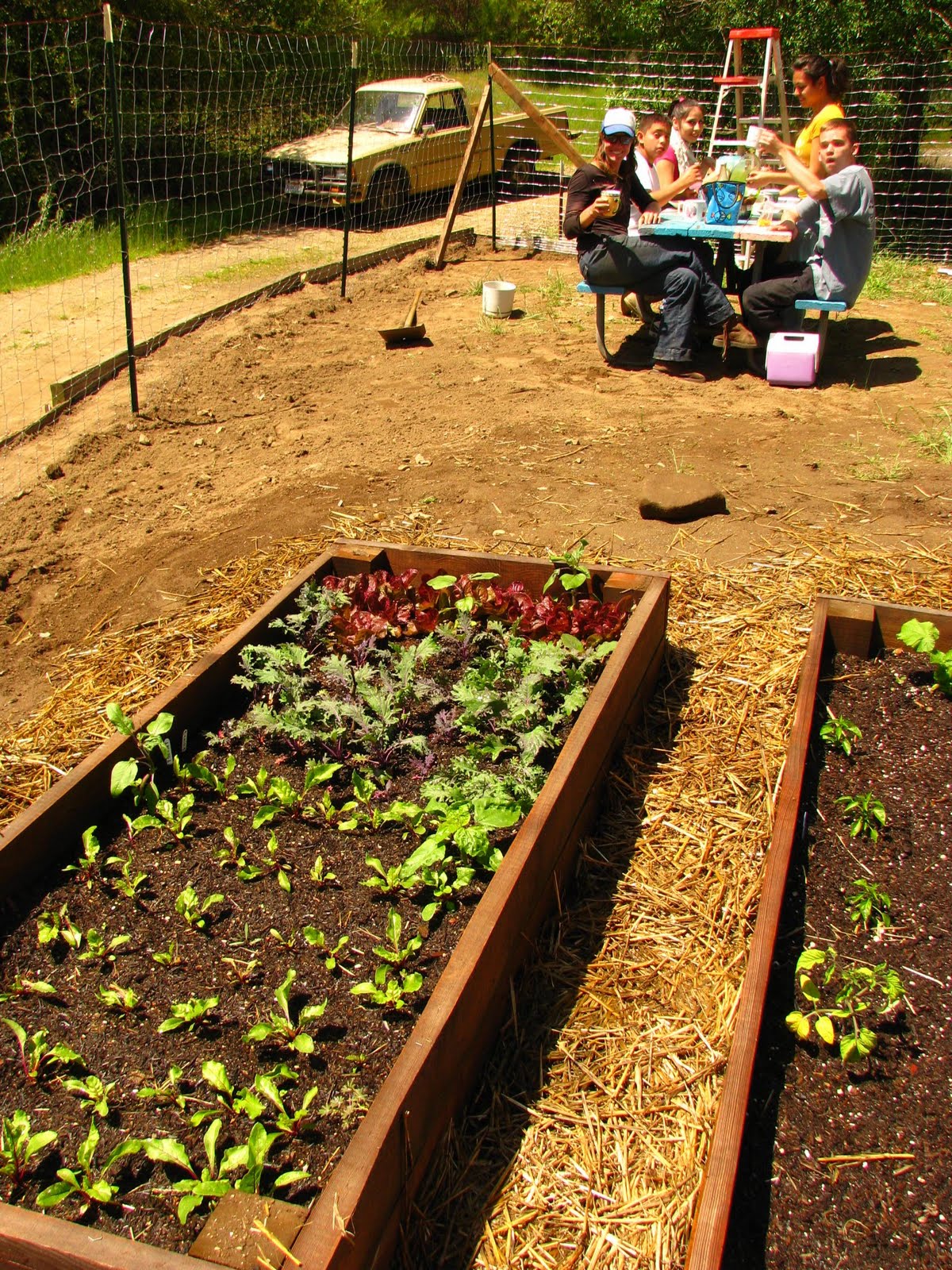 Yosemite Park High School GARDEN PROJECT: April 2010