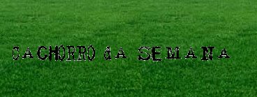 Cachorros