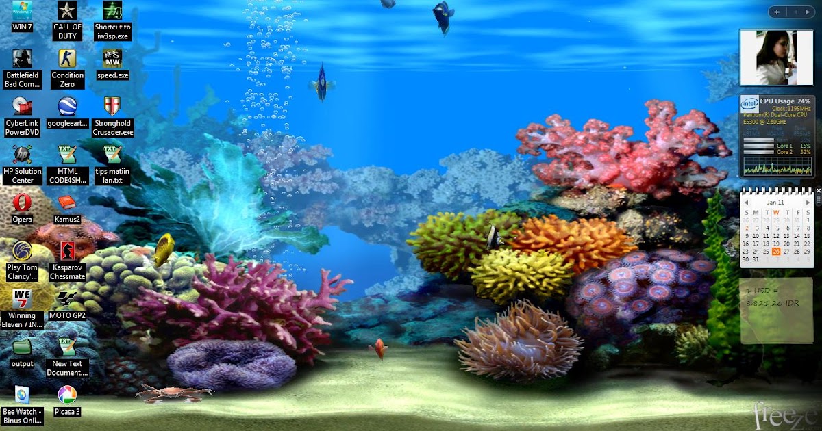 Aquarium Hintergrundbilder Kostenlos