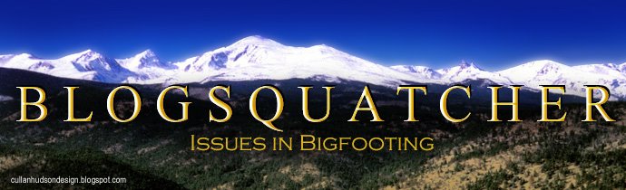 The Blogsquatcher