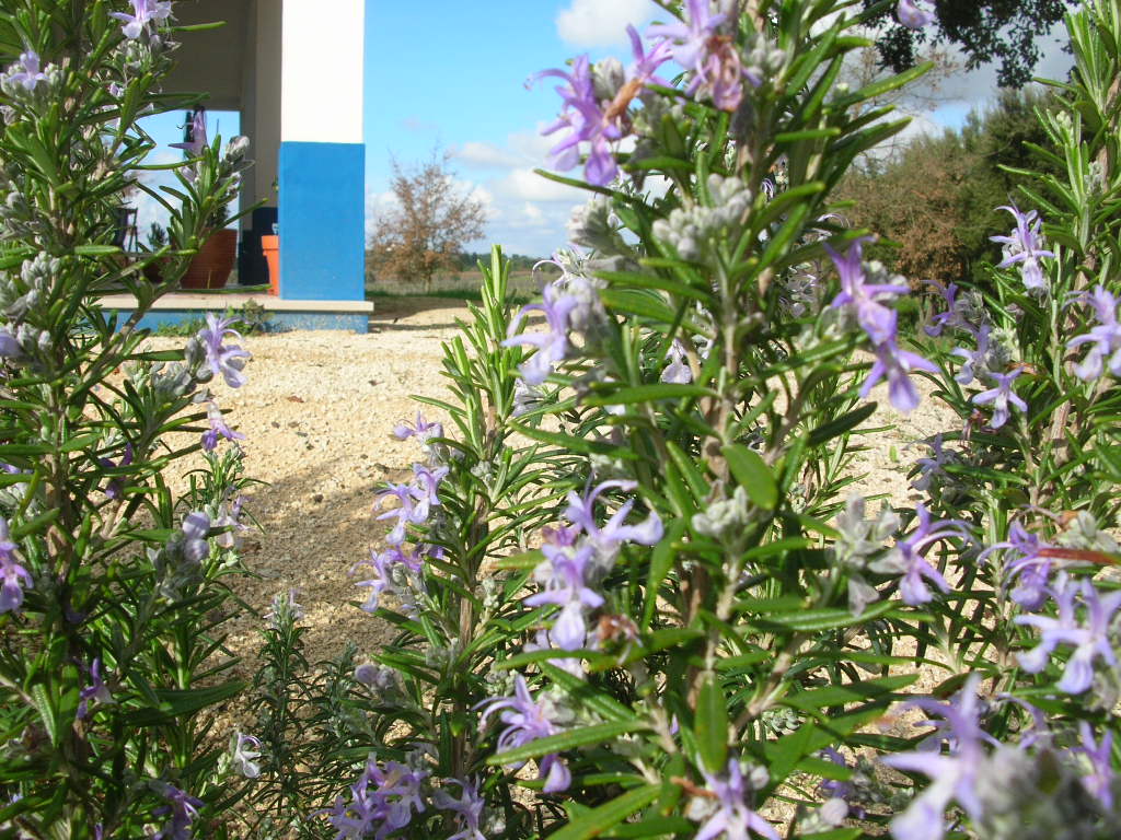 [20080220_3195.JPG]