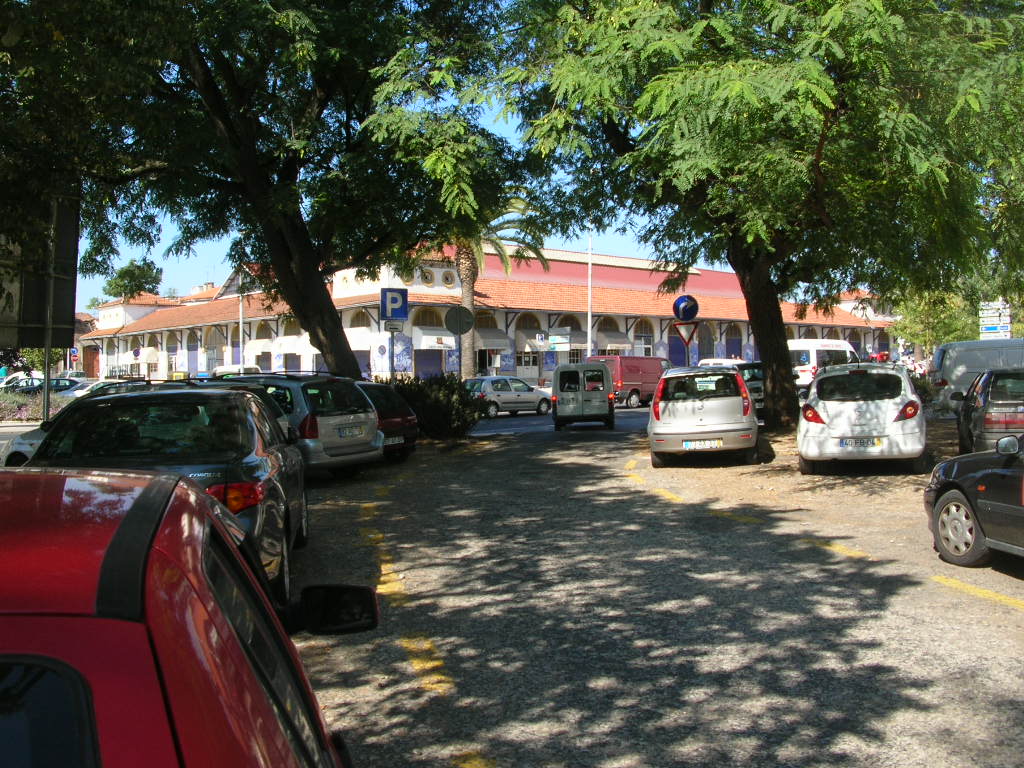 [20080926_3576.JPG]