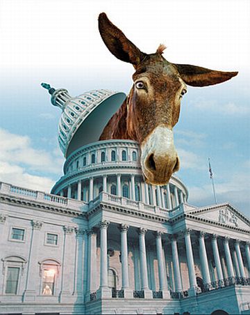 democratsrule.jpg