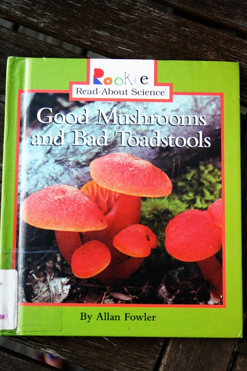 The Book Children: mushrooms!