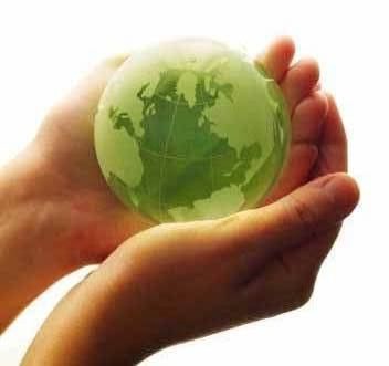 external image meio+ambiente.jpg