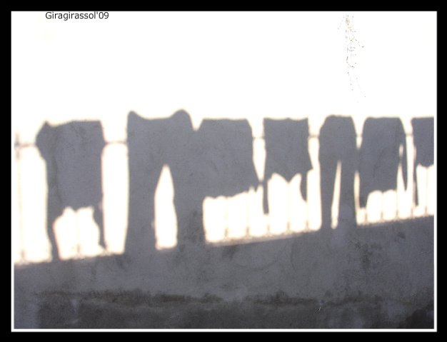 [bythewind_Photo.jpg]