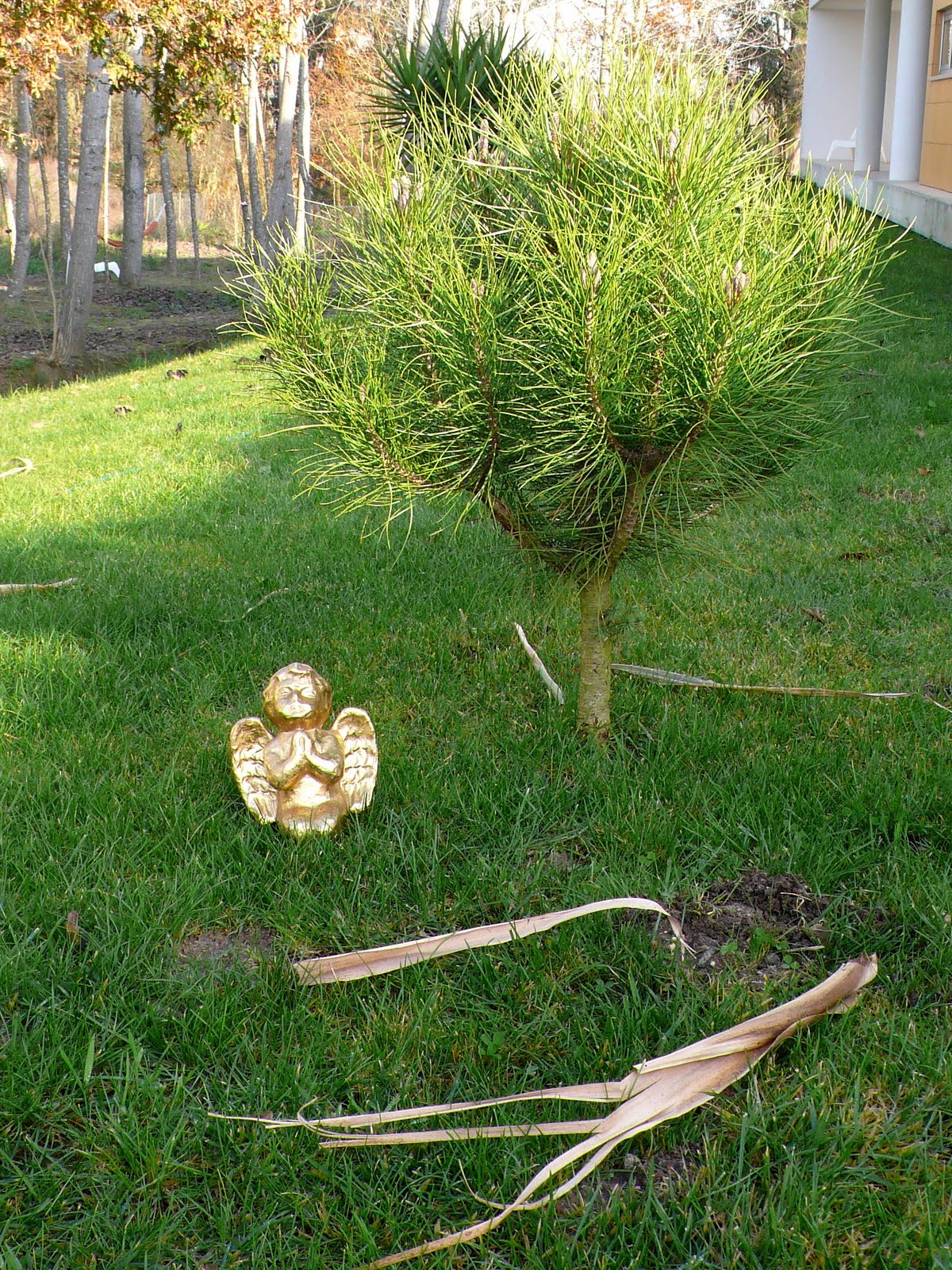[P1090397.JPG]