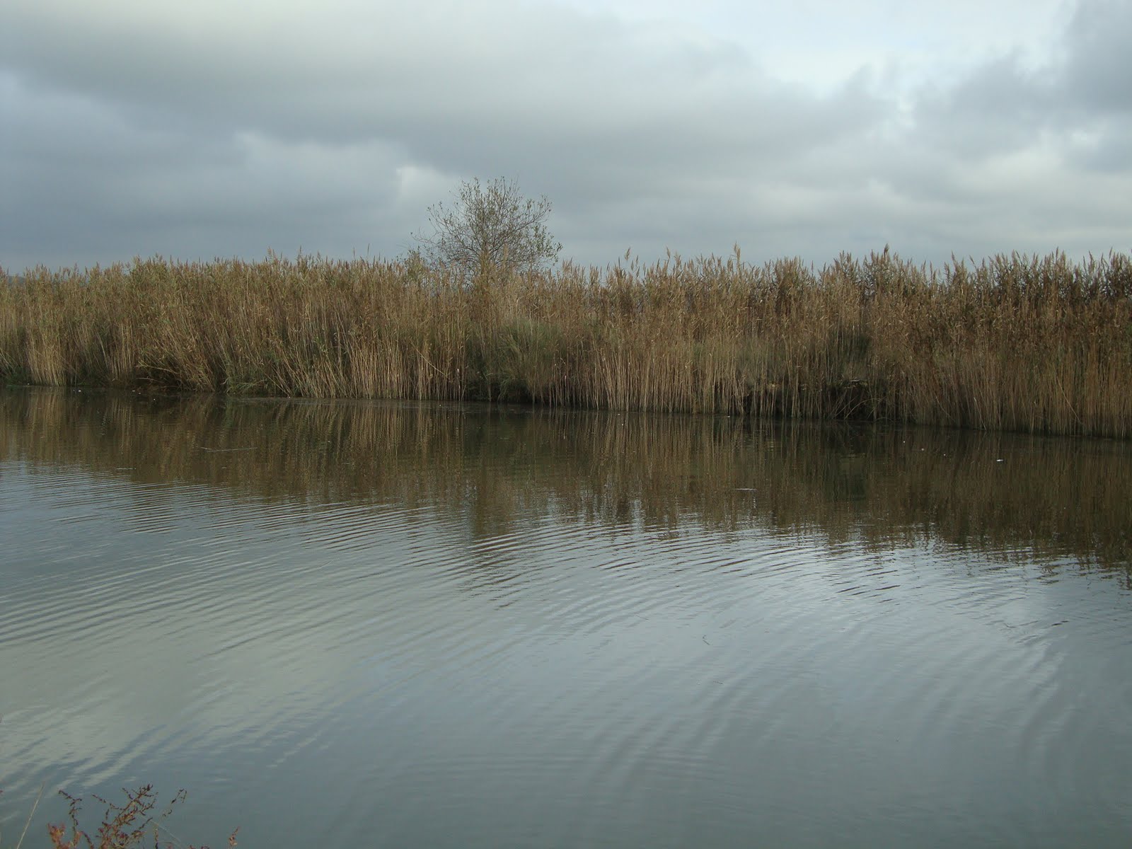 [DSC05706.JPG]