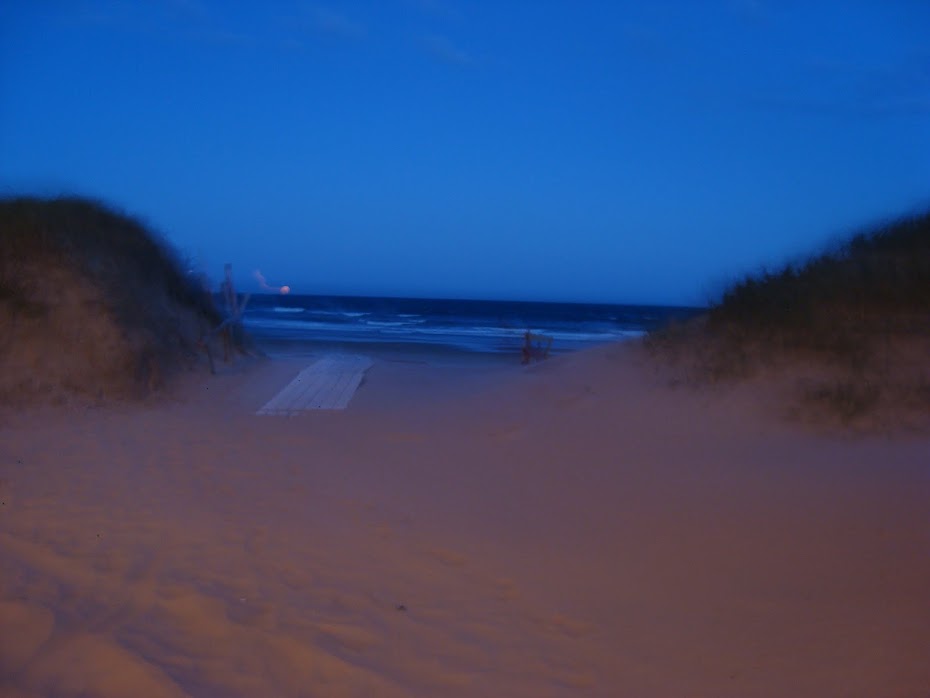 leparcpuntadeleste