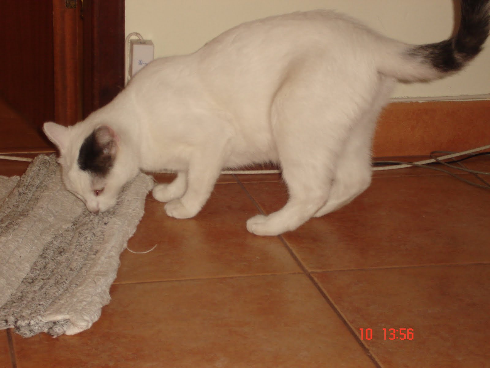 [DSC06103.JPG]