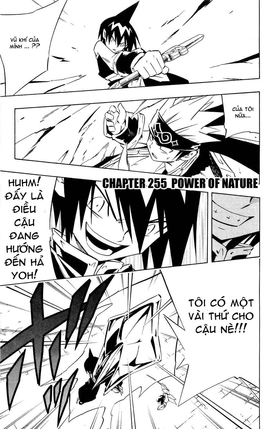 Vua Pháp Thuật-Shaman King chap 255 Trang 1 - Mangak.info Vua Pháp Thuật-Shaman King chap 255 Trang 1 - Mangak.info