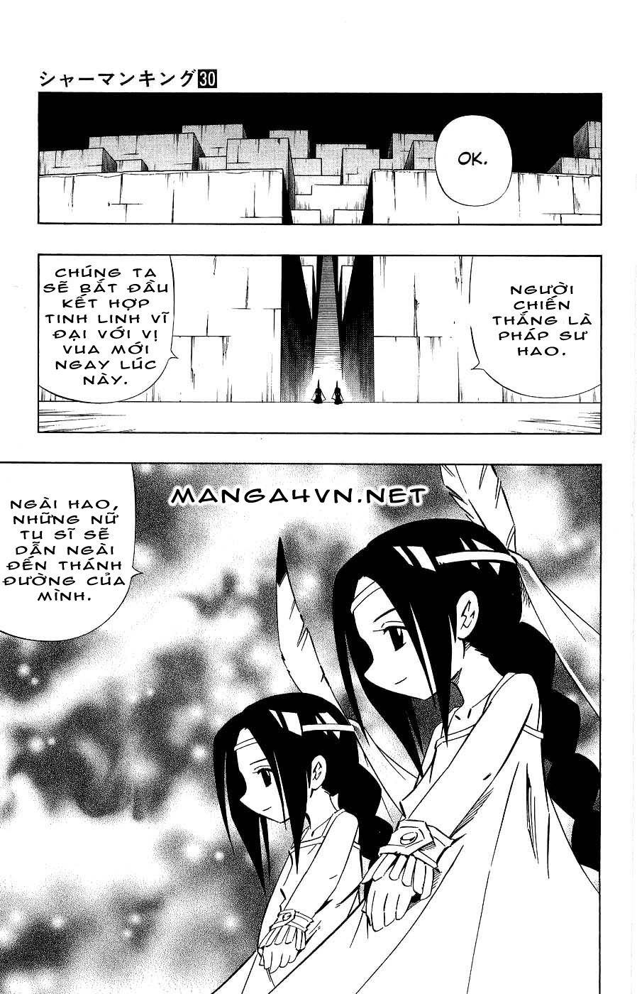 Vua Pháp Thuật-Shaman King chap 264 Trang 11 - Mangak.info Vua Pháp Thuật-Shaman King chap 264 Trang 11 - Mangak.info