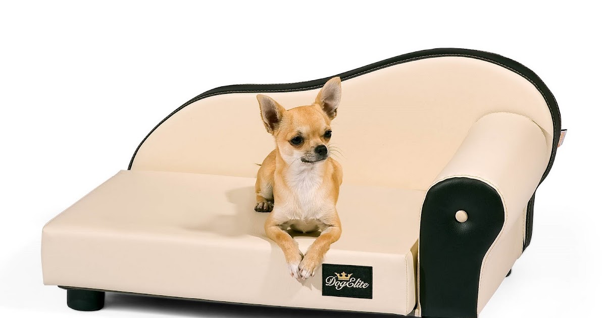 Hundezubehör für kleine und große Hunde fashion and lifestyle for